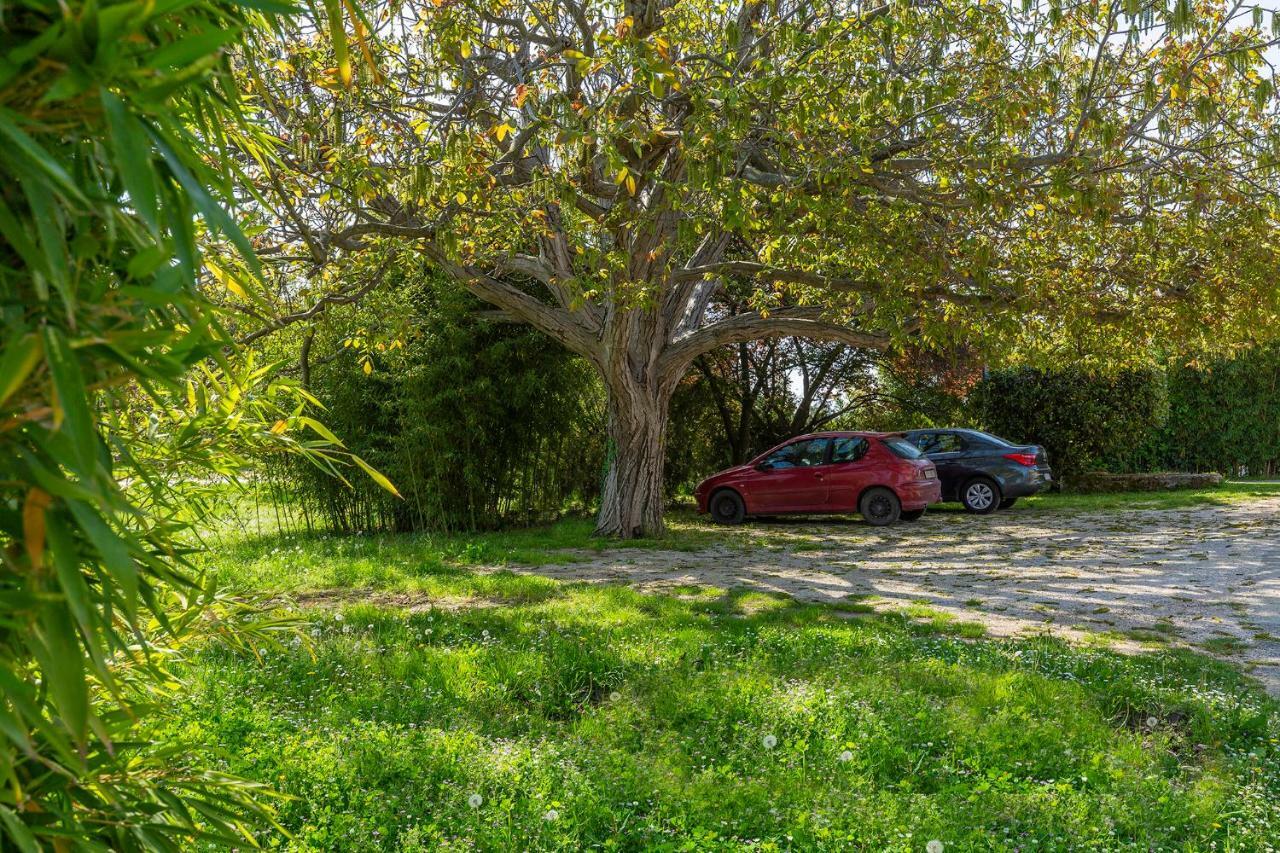 Apartments Rita Poreč Dış mekan fotoğraf